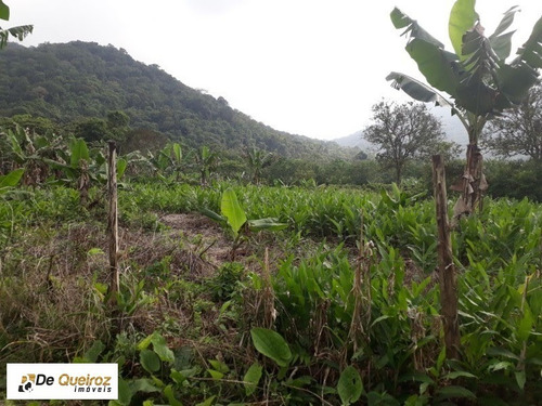 Imagem 2 de 9 de Terreno De Chacara Na Praia - 1598 - 32687605