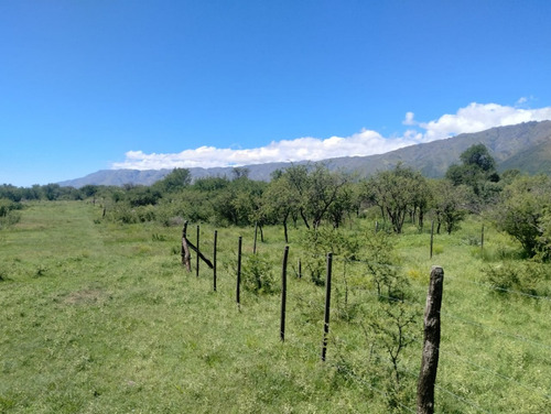 Terreno En Los Molles, Merlo, San Luis De 1600 M²