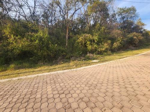 Venta Lote Gladiola 42 Con Vistas Panorámicas Y Todos Los Servicios Y Proyecto Incluído. A Unos Pasos De Las Amenidades En Nueva Zona De Fracc Rancho San Diego Ixtapan De La Sal Edomex