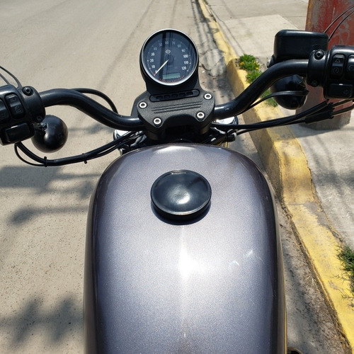 Imagen 2 de 6 de Harley Davidson Iron 883