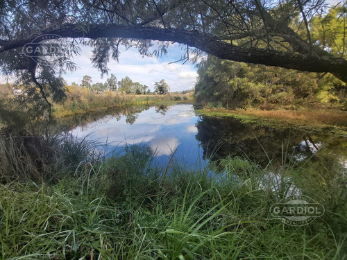 Imagen 28 de 28 de Terreno Barrio Privado 7414 Mts Camino De Los Horneros- Countrie Quinta De Los Horneros