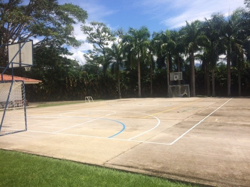 Imagen 9 de 17 de Lote Residencial Restrepo - Meta
