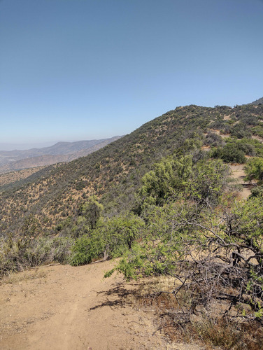 El Arrayan (94131)