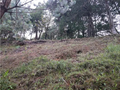 Lote En Guarne Vereda La Clarita Cerca De La Vía Principal