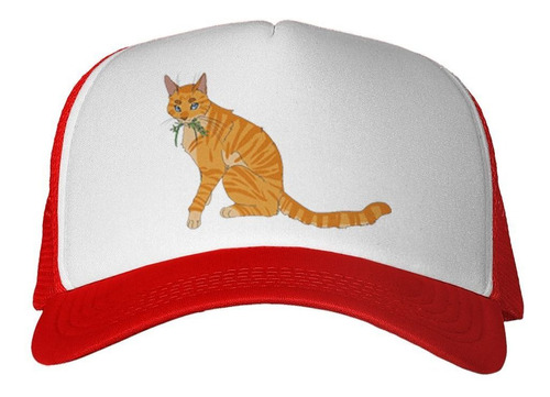 Gorra Gato Atigrado Naranja Comiendo