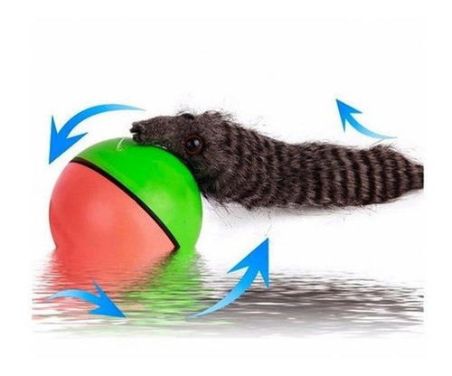 Pelota Mascotas Castor Juguete Movimiento Gatos Perros