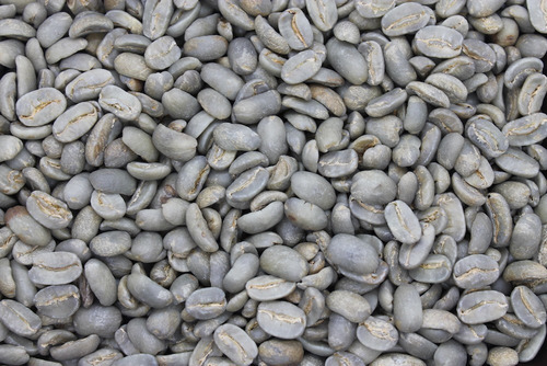 Café Verde Ideal Para Bajar De Peso Orgánico Selecto 1 Kg