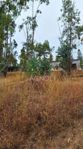 Casa En Venta De 1 Dorm 1 Baño, Topocalma, Puertecillo