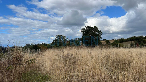 Ptovaras, Condominio El Pangue (90812)