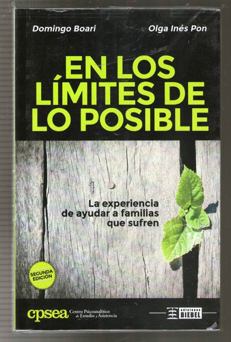 En Los Linites De Lo Posible -  Domingo Boari - Olga Ines Po