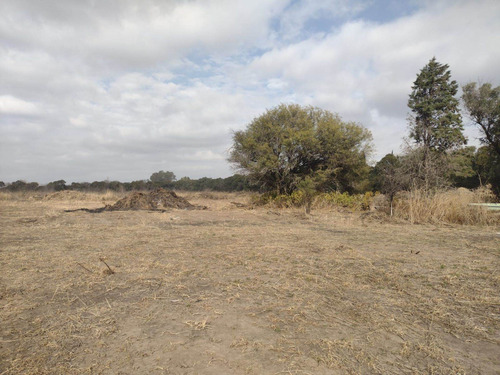 Imagen 10 de 12 de Venta Campo 6 Has - Villa Esquiu