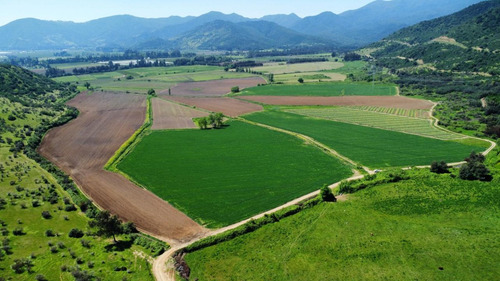 Codegua, Chimbarongo, Predio De 54,49 Has Ideal Par Cerezas