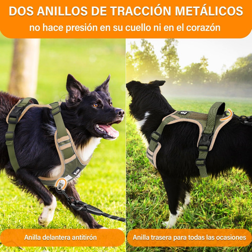 Pechera Arnes Perro Grande Mediano Chico Pequeño Con Correa
