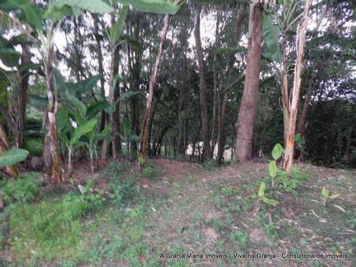 Imagem 1 de 25 de Terreno À Venda, 1450 M² Por R$ 1.000.000,00 - Palos Verdes - Carapicuíba/sp - Te0134