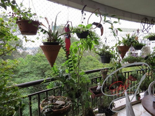 Imagem 2 de 30 de Apartamento 150 M2, 3 Dormitórios - Ap01452 - 70808473