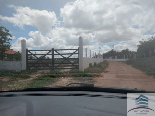 Imagem 12 de 30 de Granja A Venda Em Macaíba