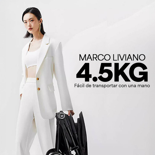 Carriola De Viaje Gb Fyn Plus Carbon Fiber Apto Avion Ligera Color Negro Chasis Negro