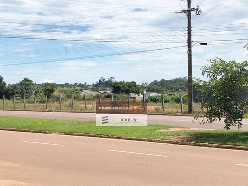 Imagem 1 de 4 de Área À Venda ! 3 Hectares ! Região De Juára - Mt ! - 471