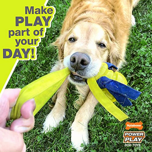 Nylabone Juguete Power Play Soccer Ball