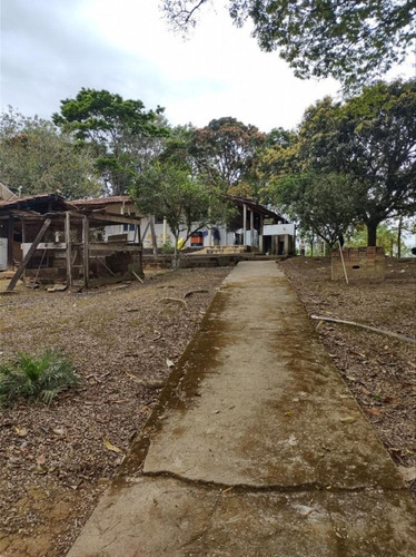 Imagem 18 de 30 de Chácara Para Venda - Figueira Grande, Santa Branca - 10000m² - 2579