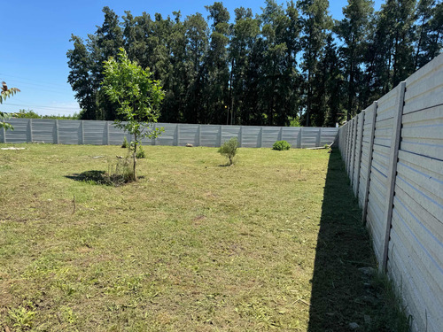 Terreno