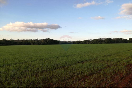 Vendo Terreno Agrícola Para Urbanización En Encarnación