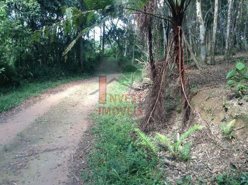 Imagem 3 de 15 de Terreno - Ref: 266 - V-266