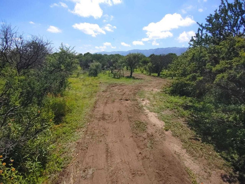 Imagen 5 de 14 de Preventa De Lotes De 1000m2 Y 1250m2 En San Luis