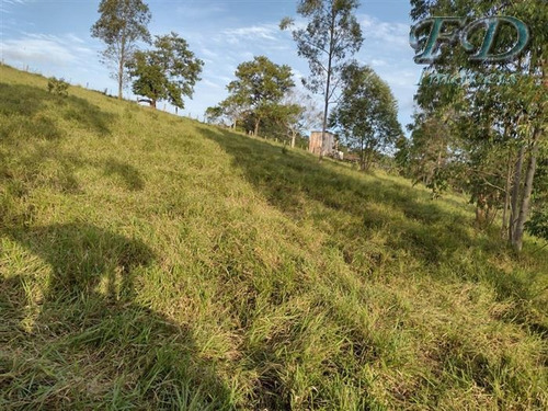 Imagem 3 de 6 de Sítios Na Represa À Venda Em Piracaia/sp - Compre O Seu Sítios Na Represa Aqui! - 1481139