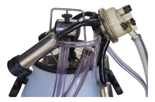 Ordenhadeira Balde Ao Pé Bv 600, Motor 2 Cv, 3 Conjuntos Cpl 220
