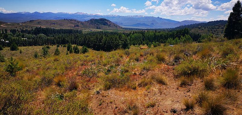 Terreno En Venta A 15 Km De Bariloche. 4 Hta, Para Lotear