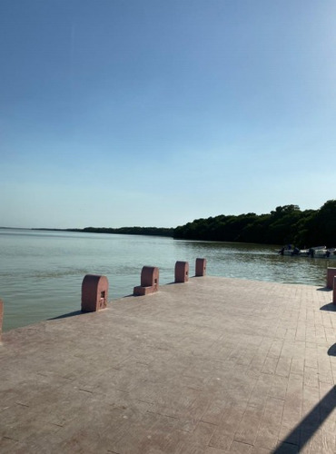 Venta De Terreno En La Reserva De Celestún