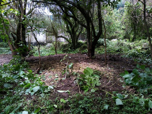Terreno En Venta En Colonia Santo Domingo, Tepoztlán, Morelos