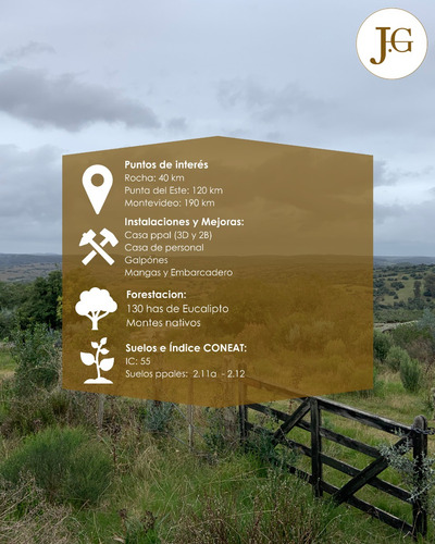 Campo Ganadero / Forestal - Aiguá, Maldonado - 400 Has
