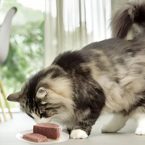 Alimento Gato Felix Pate De Salmon Lata 156g Pack 24un