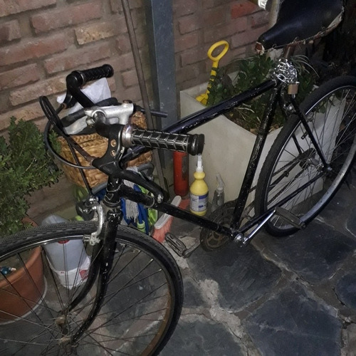 Bicicleta Paseo Rodado28