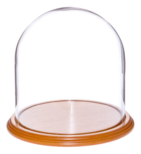 Plymor Brand - Campana De Cristal Para Cpula (8.0 X 8.0in)