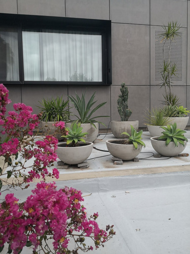 Imagen 3 de 10 de Paisajismo Y Jardinería: Jardines, Terrazas Y Balcones