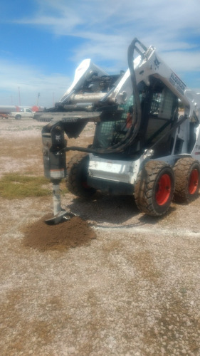 Bobcat
