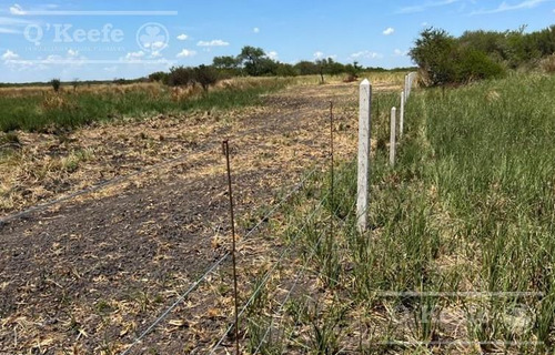 Campo En Venta De 520 Has Mixtas En Entre Rios