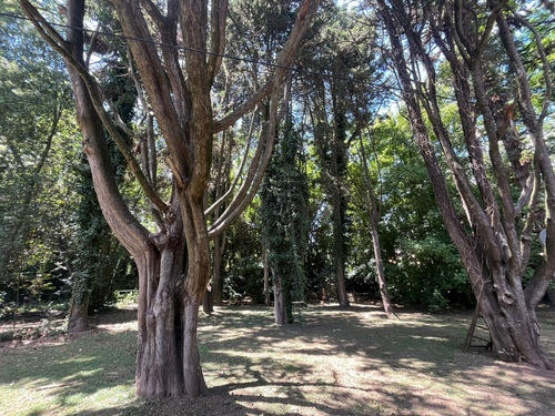 Casa Quinta En Venta En Calle 19 Bis Entre Arana Y 420