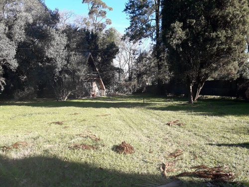 Imagen 5 de 19 de Casa - La Reja