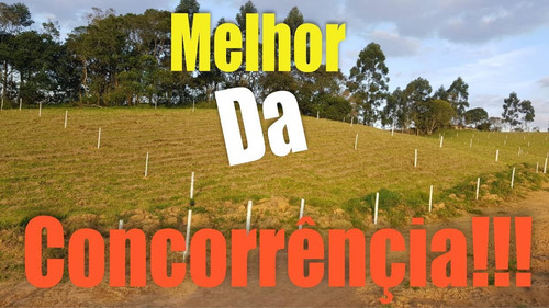 Imagem 9 de 14 de D23-lançamento Oportunidade Única Em Igaratar!!