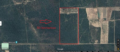 Imagen 2 de 6 de Venta De Campo 50 Ha. Villa De Soto