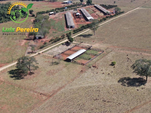 Imagem 2 de 4 de Fazenda À Venda Em Terenos - Ms - De 230 Hectares (pecuária) - 1789