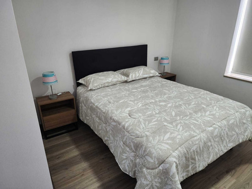 Arriendo Amoblado Nuevo Centro Concepcion (84964)