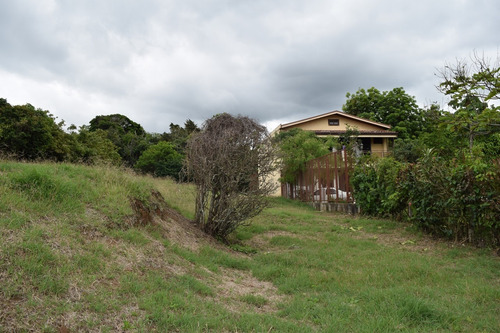 Imagen 14 de 14 de Lote Plano De 878 M2, 400m Al Este Del Lagar En San Isidro