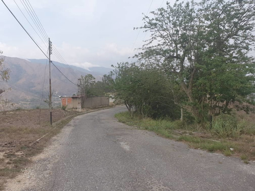 Imagen 4 de 8 de Se Vende Parcela En La Entrada