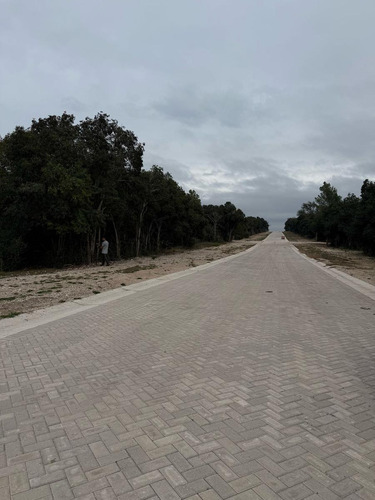 Oportunidad De Inversión En Villa General Belgrano