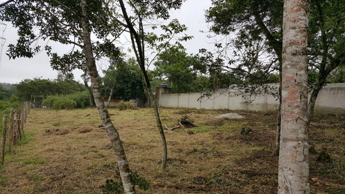 Imagem 6 de 7 de Vendo Terreno Na Ilha Do Borore Na Estrada De Itaquaquecetub